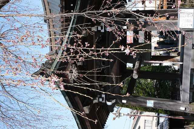 ���̊J�Ԃ���� 2022